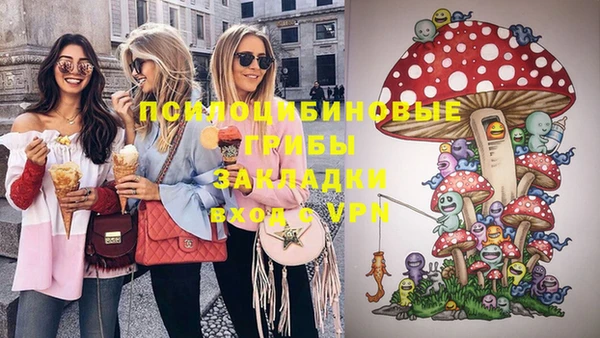 прущие крисы Богданович