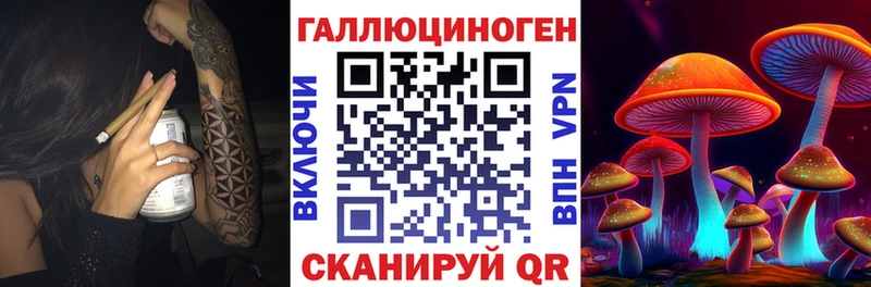 купить наркоту Гатчина Галлюциногенные грибы Cubensis